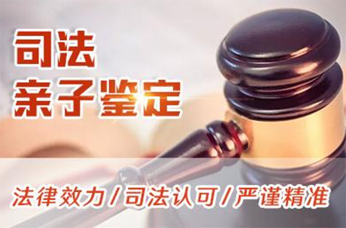 七台河司法亲子鉴定如何做,七台河司法DNA鉴定需要什么材料和流程